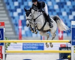 jumper Call me Pezi (anglo european sporthorse, 2013, from Call Me Number One)