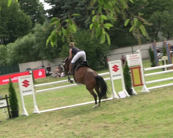 Reitturnier Buckow bei Beeskow (LOS) 2024