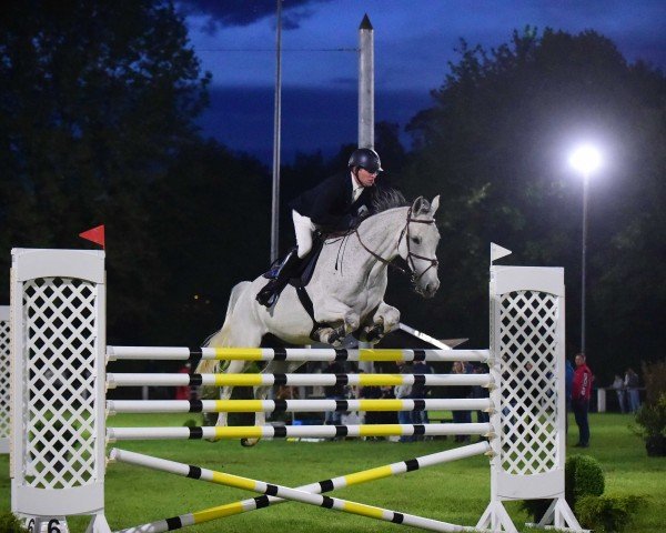 jumper Hollie 3 (KWPN (Royal Dutch Sporthorse), 2012, from Cavalier)