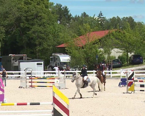 Reitturnier Gut Bohmerhof-Wackersberg/Obb. 2024