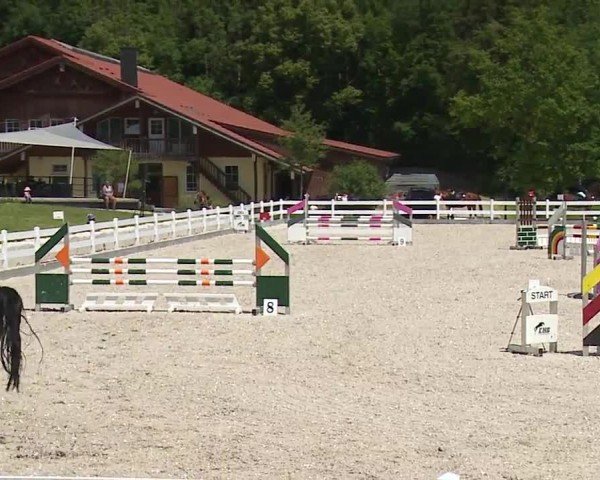 Reitturnier Gut Bohmerhof-Wackersberg/Obb. 2024