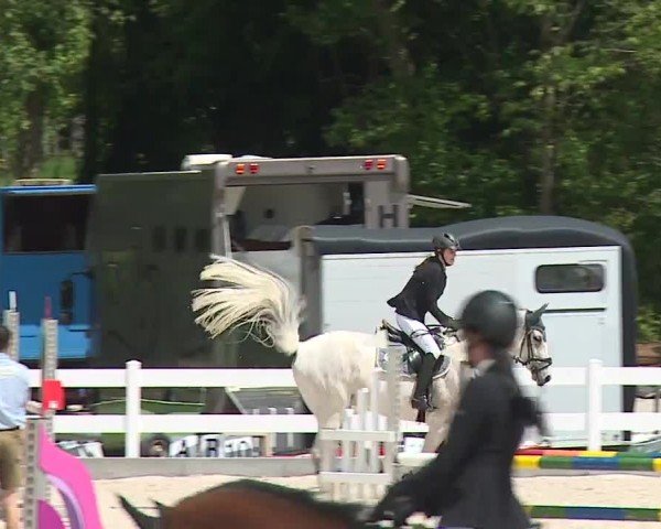 Reitturnier Gut Bohmerhof-Wackersberg/Obb. 2024