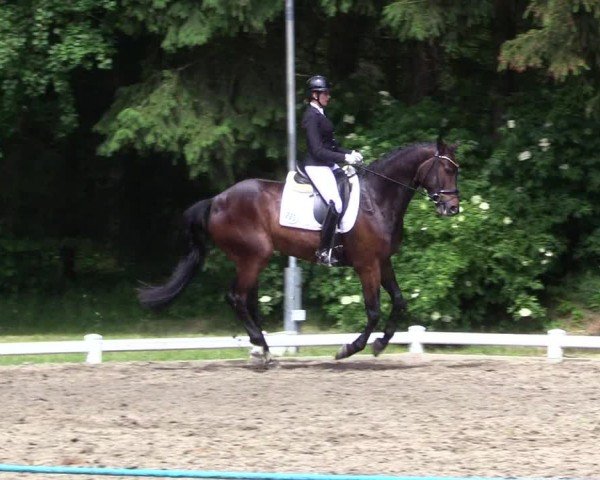 Reitturnier Kellinghusen  2024