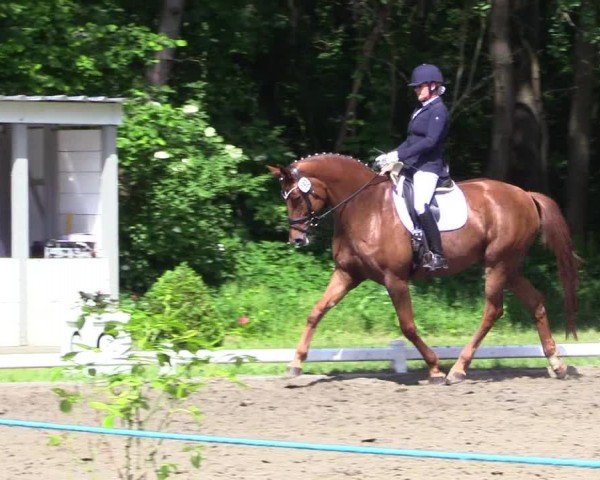 Reitturnier Kellinghusen  2024