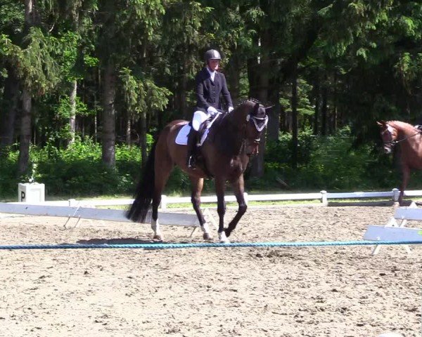 Reitturnier Kellinghusen  2024
