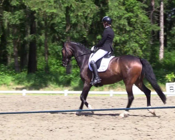 Reitturnier Kellinghusen  2024