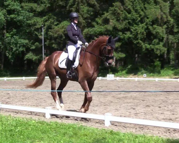 Reitturnier Kellinghusen  2024