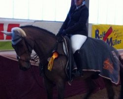 jumper Brauhaus Vetter's Brilliant Z (Zangersheide riding horse, 2000, from Baloubet du Rouet)