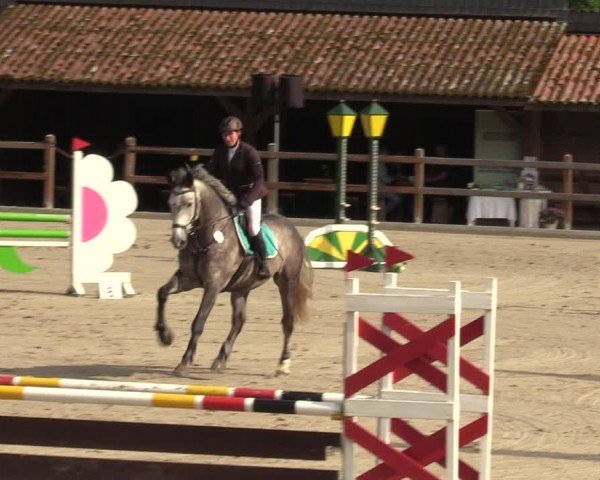 Reitturnier Alvern 2024