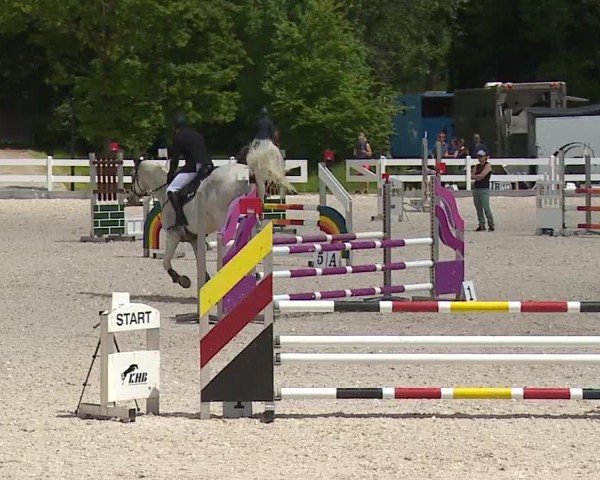 Reitturnier Gut Bohmerhof-Wackersberg/Obb. 2024