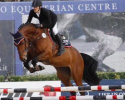 broodmare Esmeralda 119 (KWPN (Royal Dutch Sporthorse), 2009, from Zavall VDL)