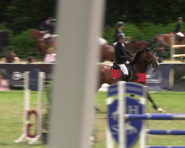 Reitturnier Jülich 2024