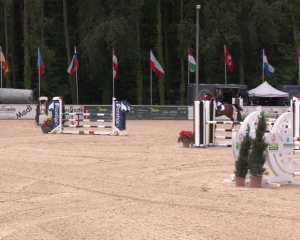 Reitturnier Ranshofen - Braunau am Inn 2024