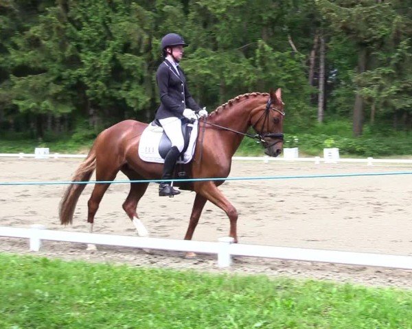 Reitturnier Kellinghusen  2024