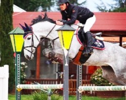 broodmare Bermela (KWPN (Royal Dutch Sporthorse), 2006, from Up To Date)