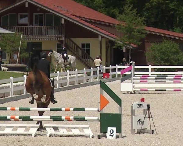 Reitturnier Gut Bohmerhof-Wackersberg/Obb. 2024