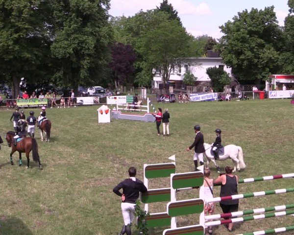 Reitturnier Königsborn 2024