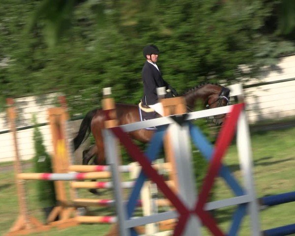 Reitturnier Buckow bei Beeskow (LOS) 2024