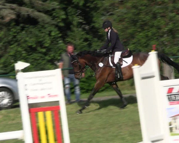 Reitturnier Buckow bei Beeskow (LOS) 2024