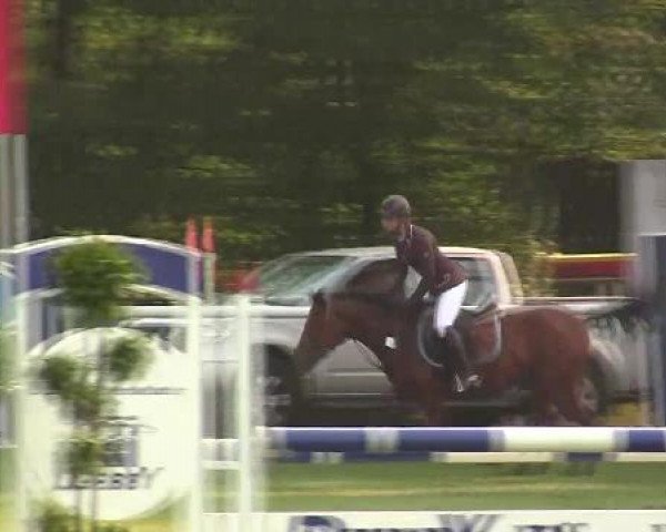 Reitturnier Münster-Handorf 2012