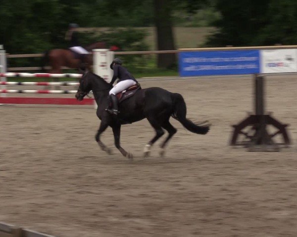 Reitturnier Alvern 2024