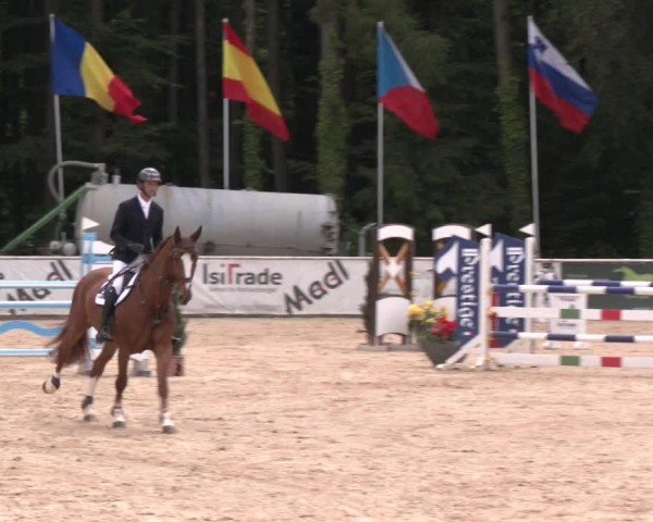 Reitturnier Ranshofen - Braunau am Inn 2024