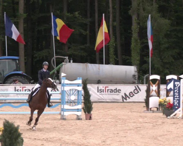 Reitturnier Ranshofen - Braunau am Inn 2024