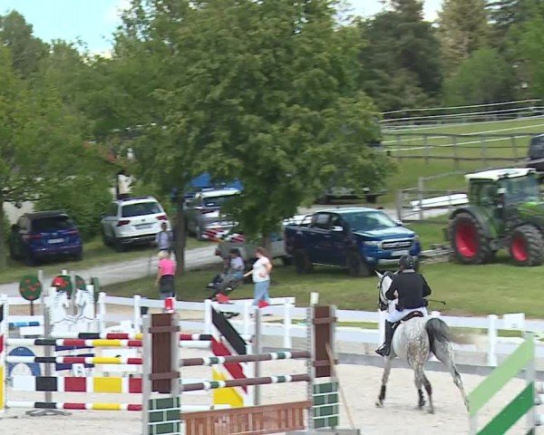 Reitturnier Gut Bohmerhof-Wackersberg/Obb. 2024