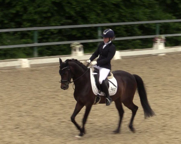 Reitturnier Letmathe 2024