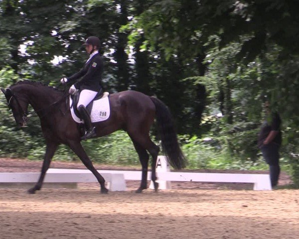 Reitturnier Königsborn 2024