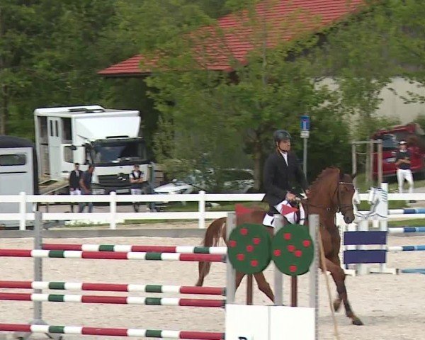 Reitturnier Gut Bohmerhof-Wackersberg/Obb. 2024