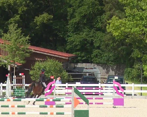 Reitturnier Gut Bohmerhof-Wackersberg/Obb. 2024