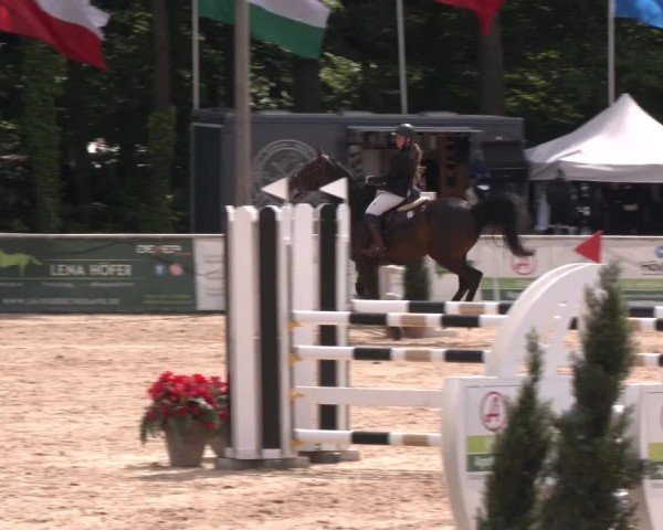 Reitturnier Ranshofen - Braunau am Inn 2024