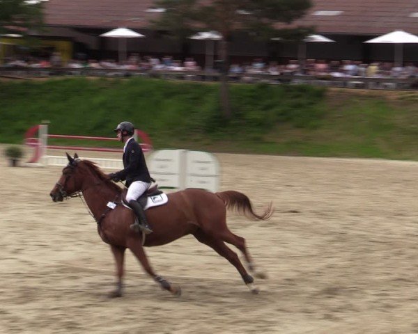 Reitturnier Letmathe 2024