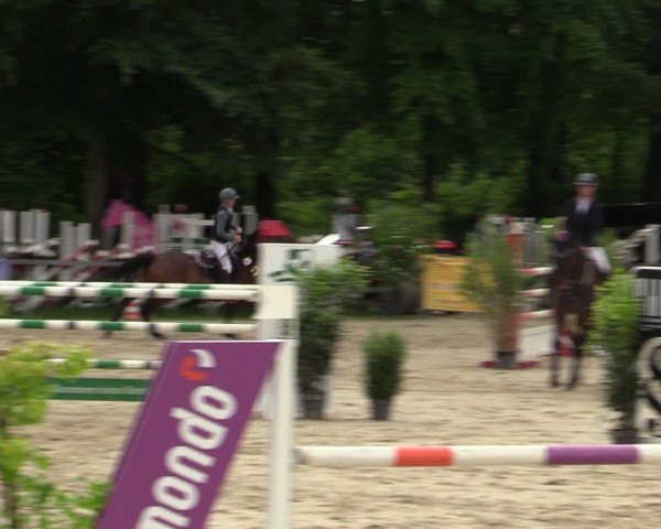 Reitturnier Letmathe 2024