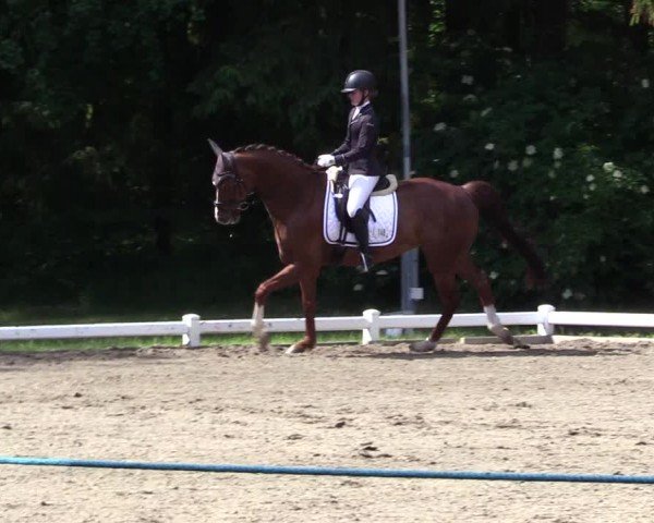 Reitturnier Kellinghusen  2024