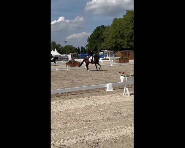 Video of Skylar 7