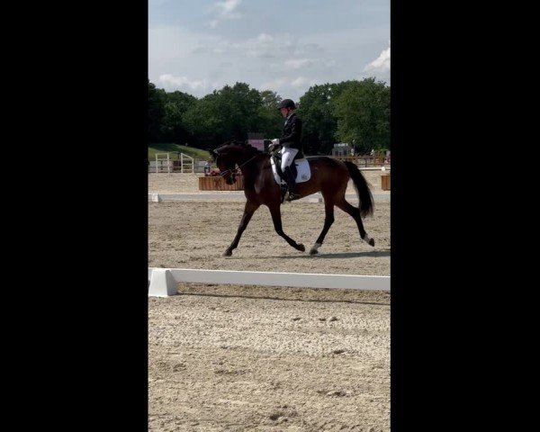 Video of Skylar 7