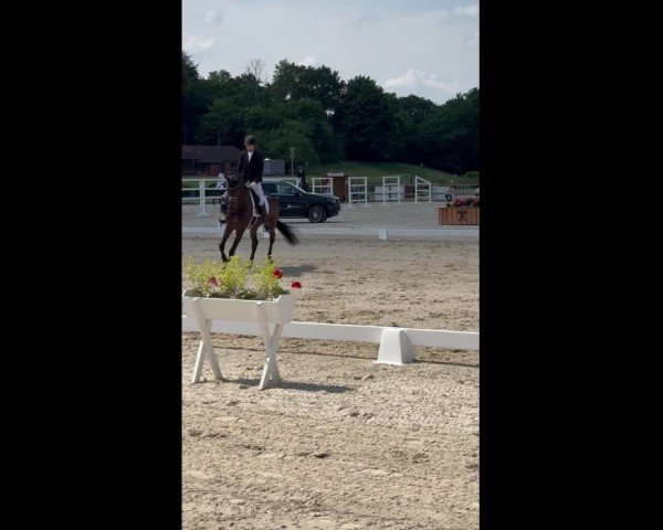 Video of Skylar 7