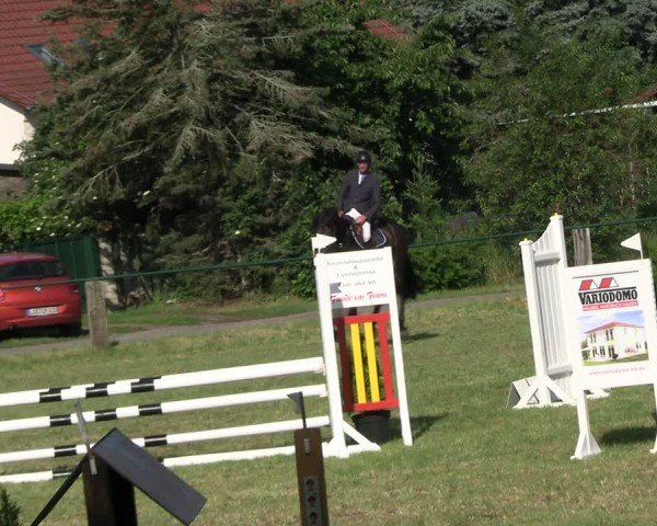 Reitturnier Buckow bei Beeskow (LOS) 2024