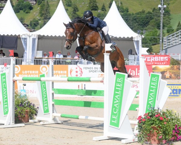 jumper Cornet's Yuri (Oldenburg, 2011, from Cornet's Prinz)
