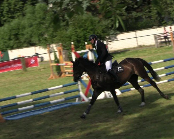 Reitturnier Buckow bei Beeskow (LOS) 2024