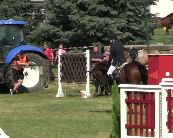 Reitturnier Buckow bei Beeskow (LOS) 2024