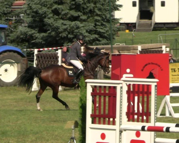Reitturnier Buckow bei Beeskow (LOS) 2024