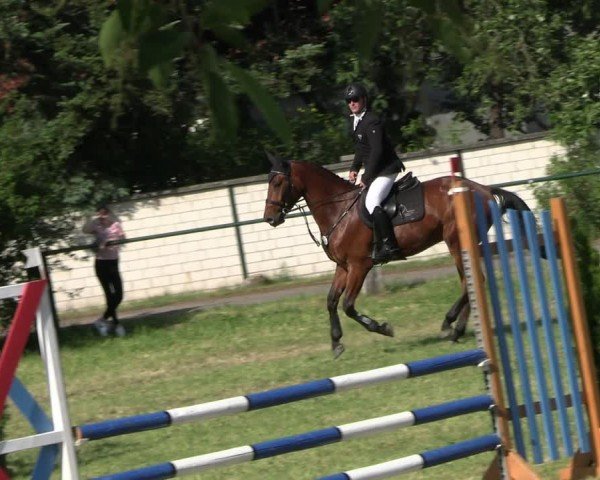 Reitturnier Buckow bei Beeskow (LOS) 2024