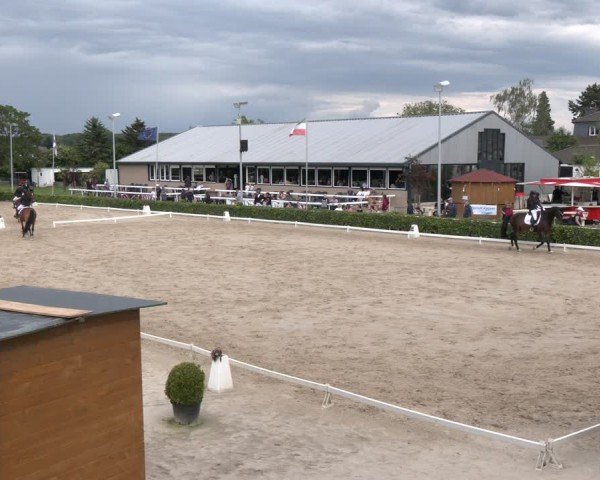 Reitturnier Bornheim-Widdig 2024