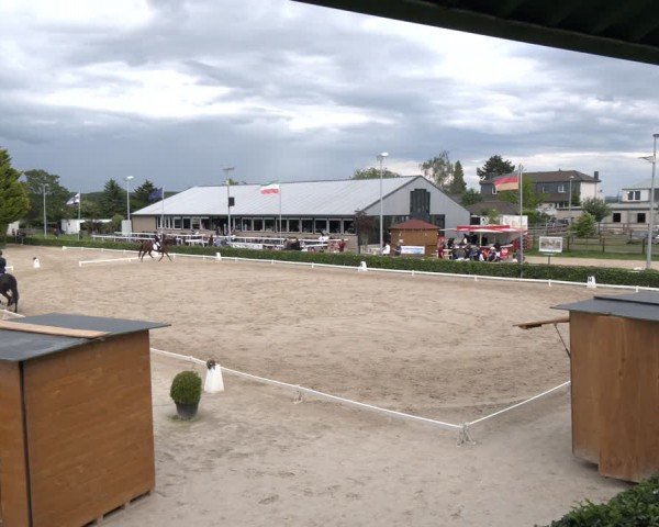 Reitturnier Bornheim-Widdig 2024