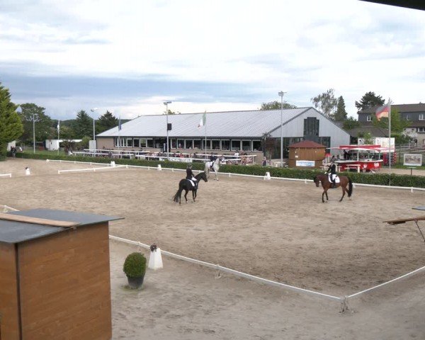 Reitturnier Bornheim-Widdig 2024