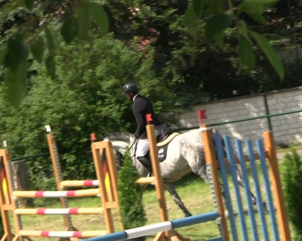 Reitturnier Buckow bei Beeskow (LOS) 2024