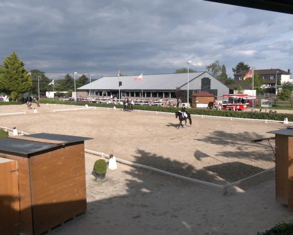 Reitturnier Bornheim-Widdig 2024